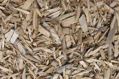 biomass boilers Carr